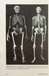 Неандерталець — Сванте Паабо #13