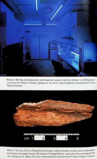 Неандерталець — Сванте Паабо #21