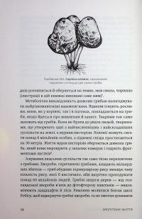 Заплутане життя — Мерлін Шелдрейк #12