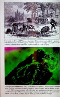 Заплутане життя — Мерлін Шелдрейк #22