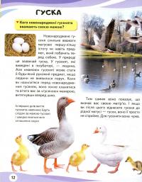 Мами та малюки — Неллі Мальована #8