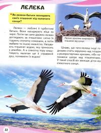 Мами та малюки — Неллі Мальована #12