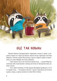 Шалене літо єнотів-бешкетників. Подорож до Баштанової долини — Юлія Олефір #3