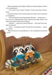 Шалене літо єнотів-бешкетників. Подорож до Баштанової долини — Юлія Олефір #9