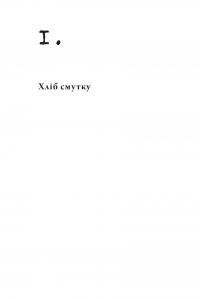 Фізика смутку — Ґеорґі Ґосподінов #10