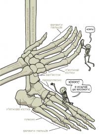 Театр людського тіла — Маріс Вікс #9