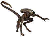 Alien 3 Dog Alien - 7"