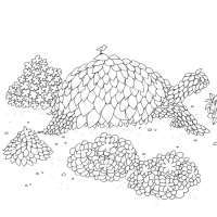 BTS и я. Фанбук — Бенна Райт #2