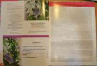 Бисерная флористика.Цветы и деревья из бисера — Светлана Сапегина #3