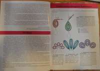 Бисерная флористика.Цветы и деревья из бисера — Светлана Сапегина #4