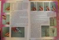 Бисерная флористика.Цветы и деревья из бисера — Светлана Сапегина #6