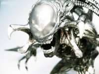 Alien vs Predator Requiem - Predalien Black #10