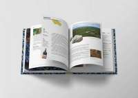 Книга Естер і Мандрагор. Від любові до магії. Том 2 — Софи Дьеэд #2