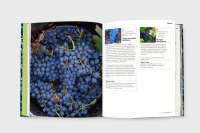 Книга Естер і Мандрагор. Від любові до магії. Том 2 — Софи Дьеэд #3