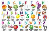 Рохеліна Жолуденко та Бінго — Олена Скуловатова #3