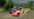 Cars 3: Driven to Win (Xbox One)