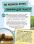 ДОВКОЛАПИТАНЬ. Енциклопедія юних розумників — Нeнсi Дiкманн #12