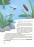 Дивовижні перетворення. Що створено за підказками природи — Юлія Пелихова #7