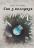 Сни з колодязя — Алла Рогашко #1